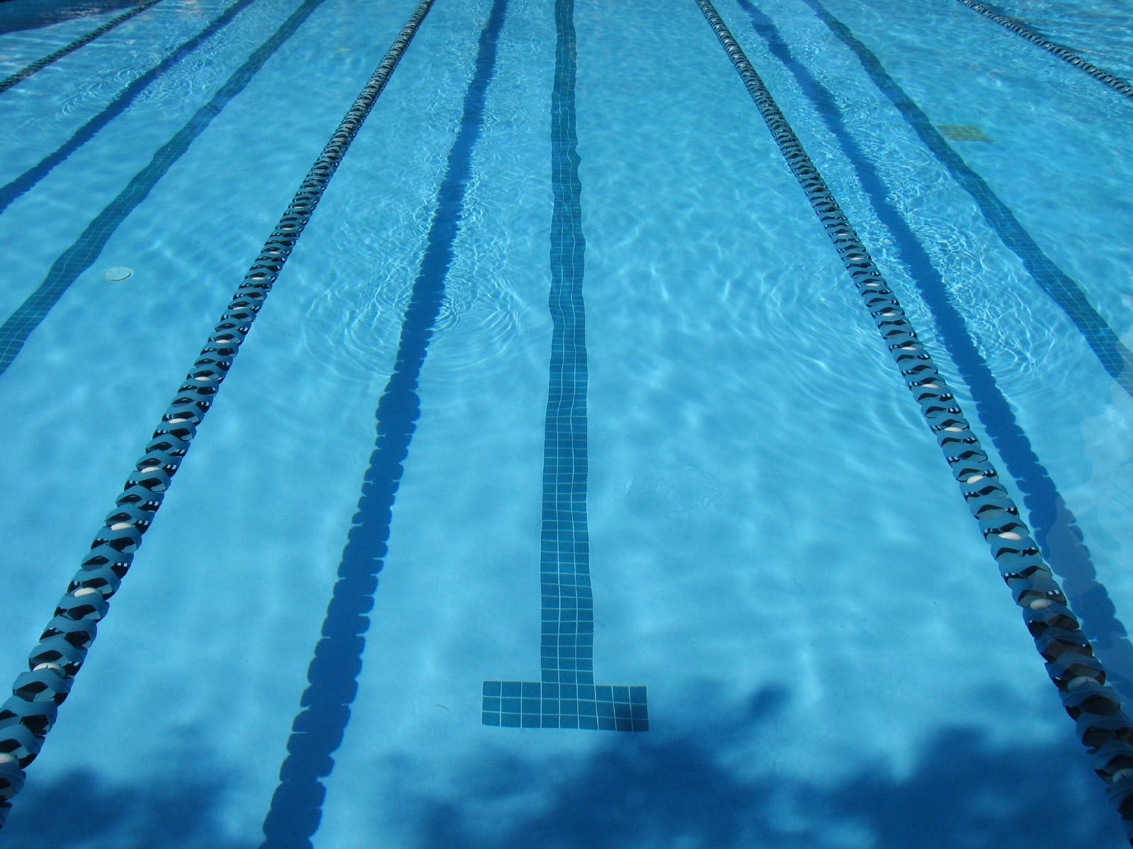 1600x1200 Helena Lions Swim Team : Swim Today