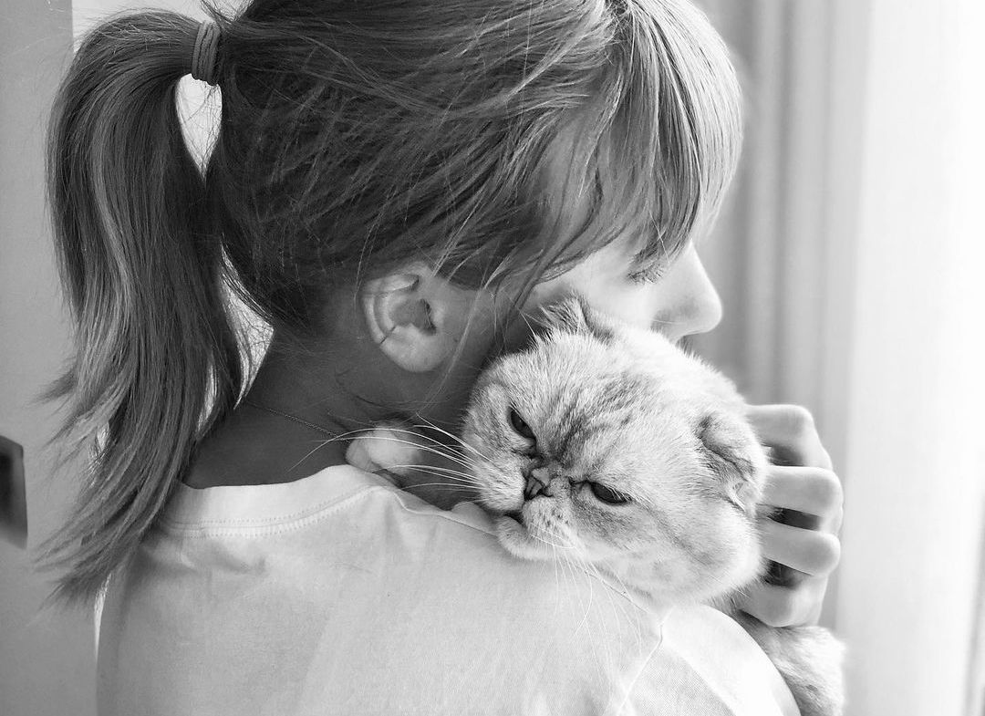 1080x785 Taylor Swift's cat Olivia Benson has a higher net worth than Travis Kelce