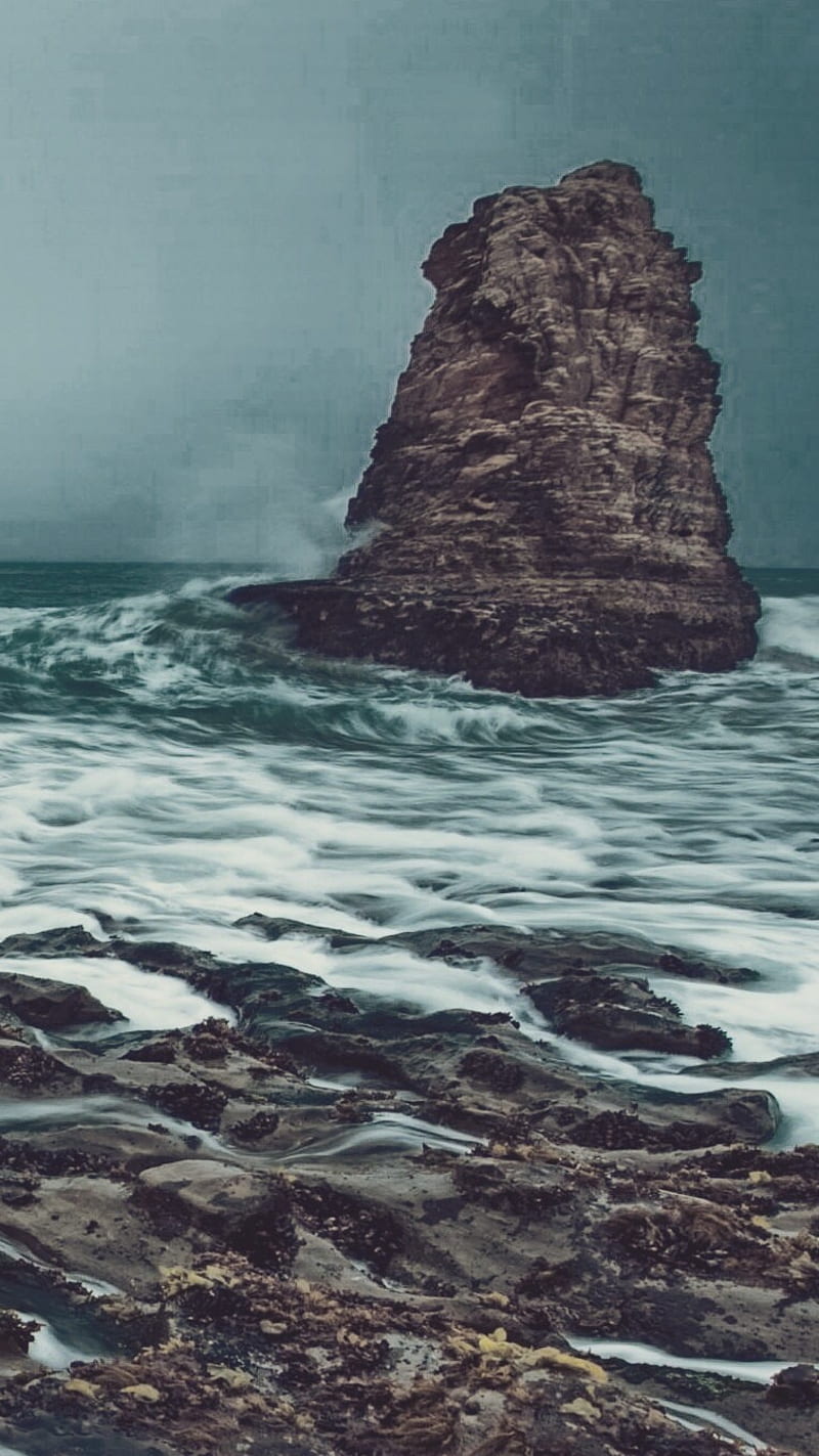 800x1423 HD sloroza wallpaper