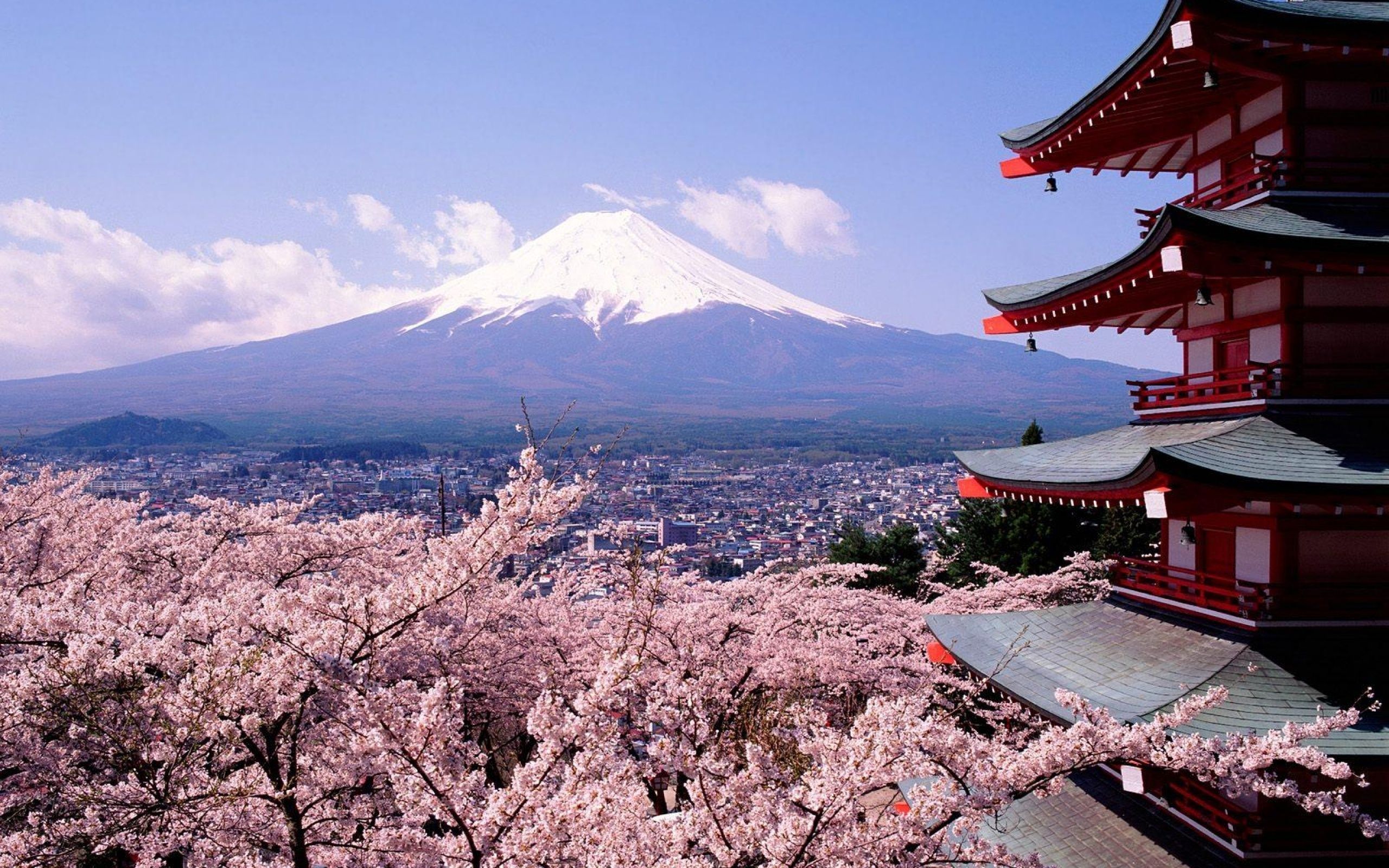 2560x1600 Tokyo Fuji Mountain And Sakura Flower Hd Wallpaper Desktopwyze Properties Consultant