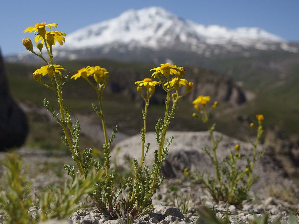 1024x768 Mount Sabalan Mountain Ardabil Province Iran Middle East A