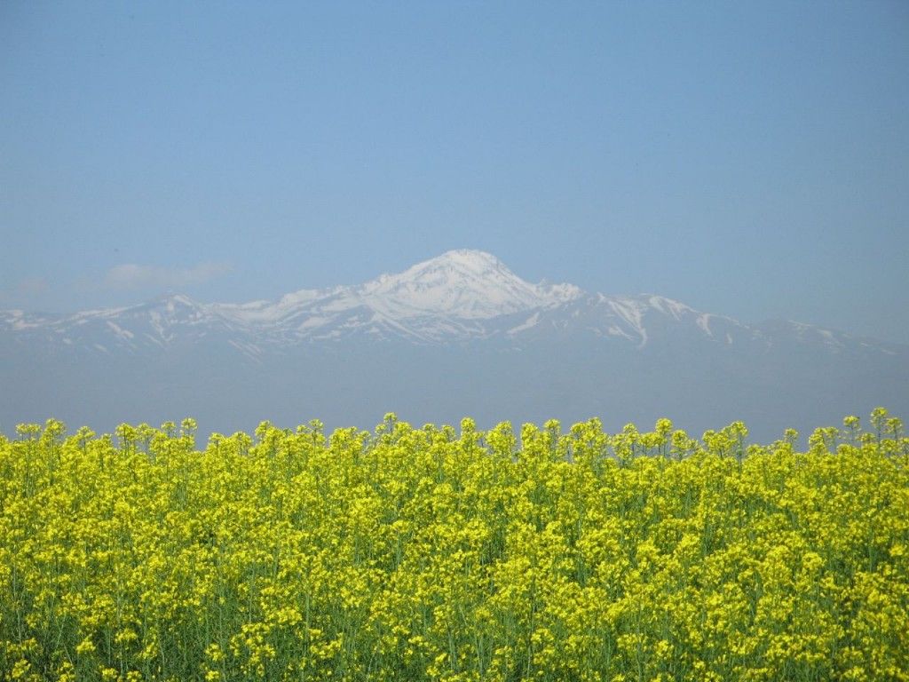 1024x768 Iran Plans 5 MW Geothermal Power Plant At Meshkin Shahr, Northwestern Iran. ThinkGeoEnergy News & Insights