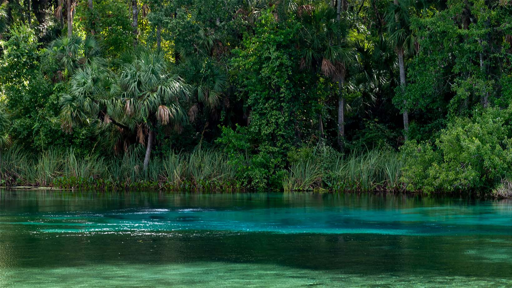 1640x923 Springs of the District