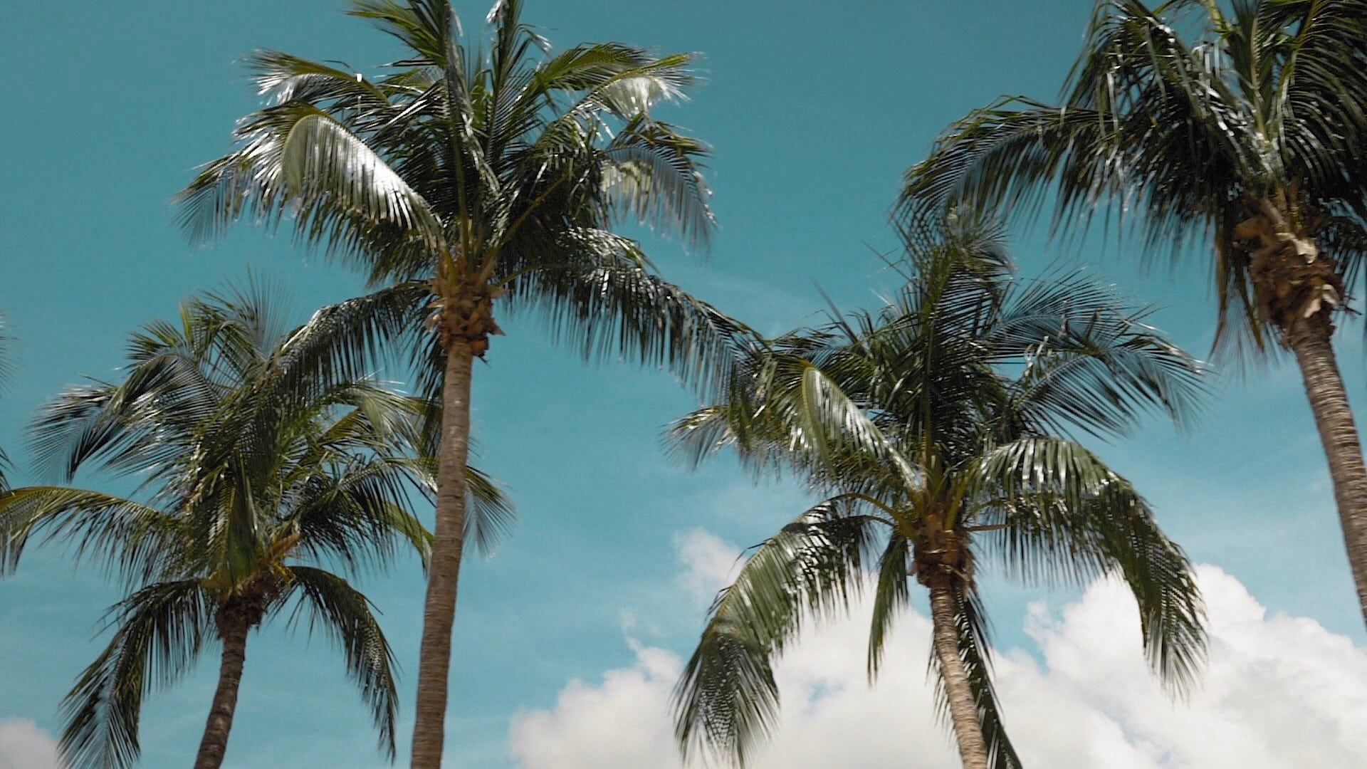 1920x1080 Central Florida Living. Lifestyle, Communities, & Homes