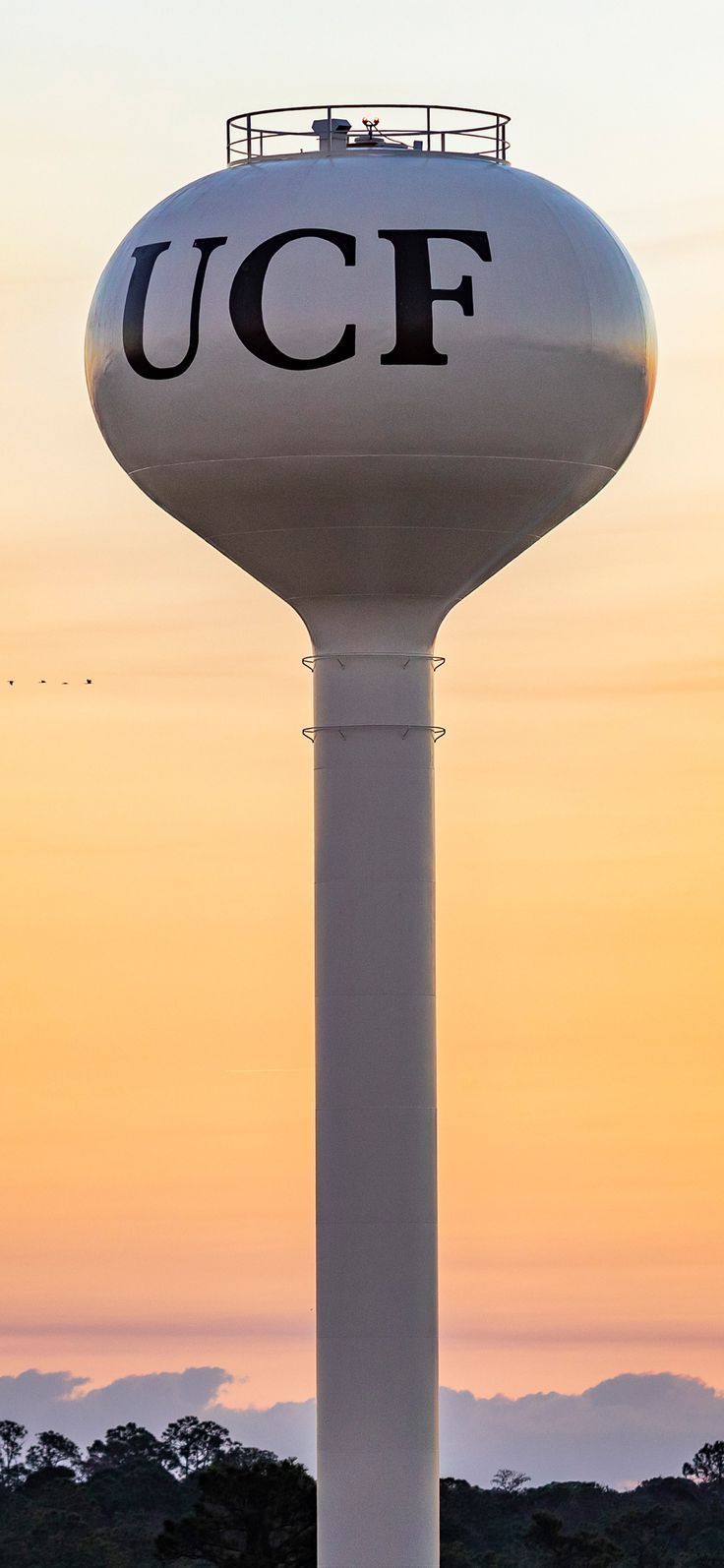 736x1594 UCF Water Tower Phone Wallpaper