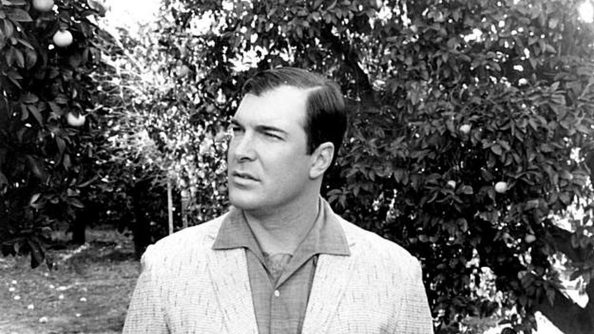 1920x1080 Patrick Warburton Is Coming to Cinema 21