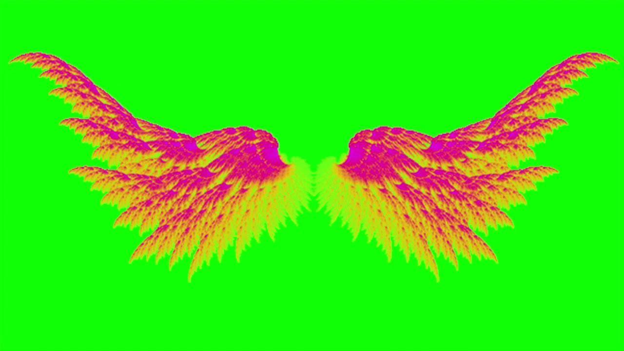 1280x720 Free Green Screen Video. Dragon Wings Collection. Green screen video background, Free green screen background, Free green screen