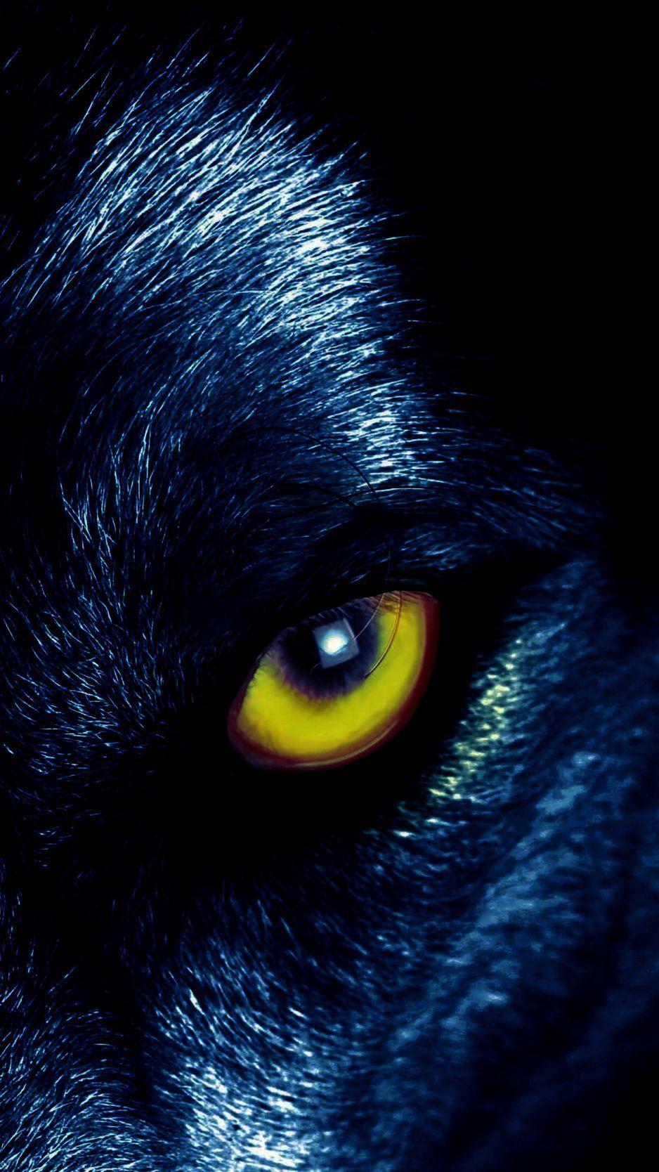 938x1668 Download Wallpaper 938x1668 Wolf, Eyes, Predator, Sight Iphone 8 7 6s 6 For Parallax HD Background