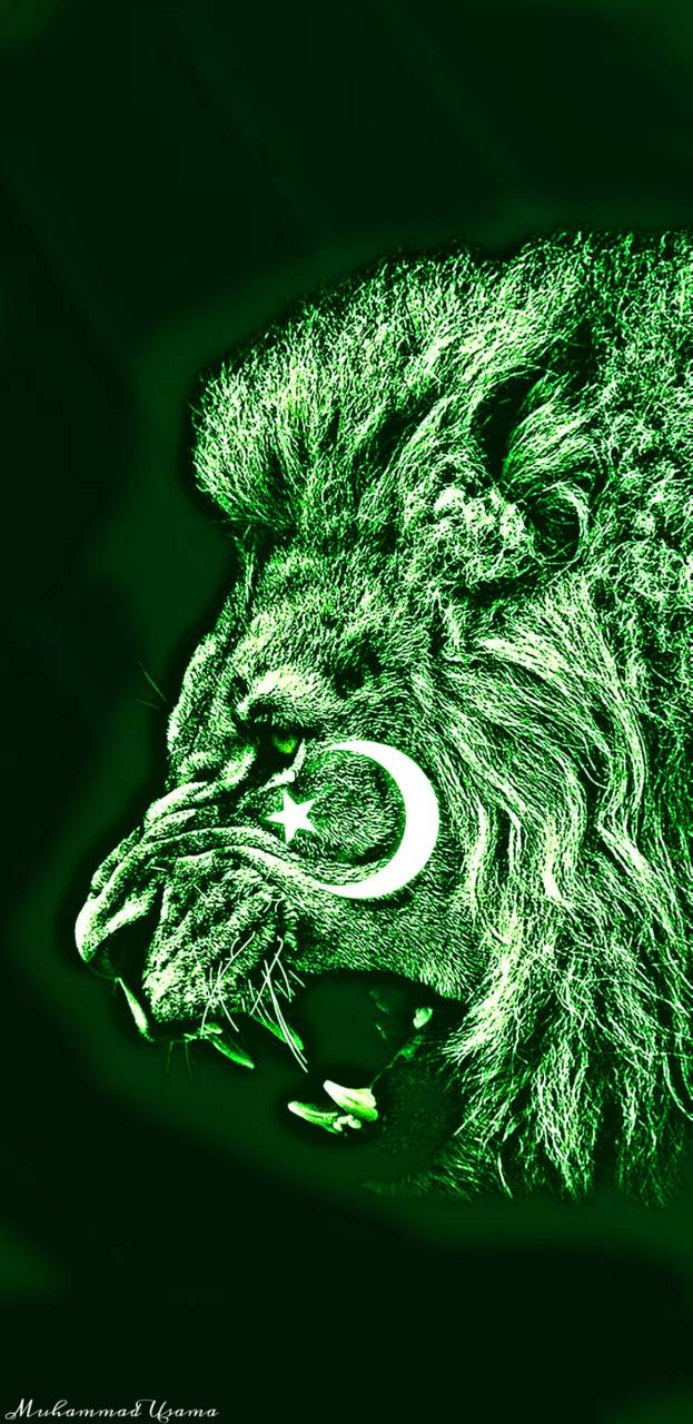 623x1280 Pakistan Flag iPhone Wallpaper