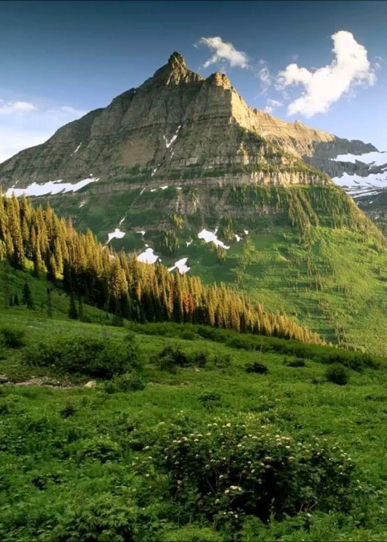 772x1080 Astore Valley, Pakistan. Nature, Pakistan travel, Scenery