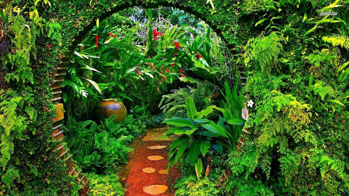 1366x768 Garden wallpaper 1366x768 (laptop) desktop background