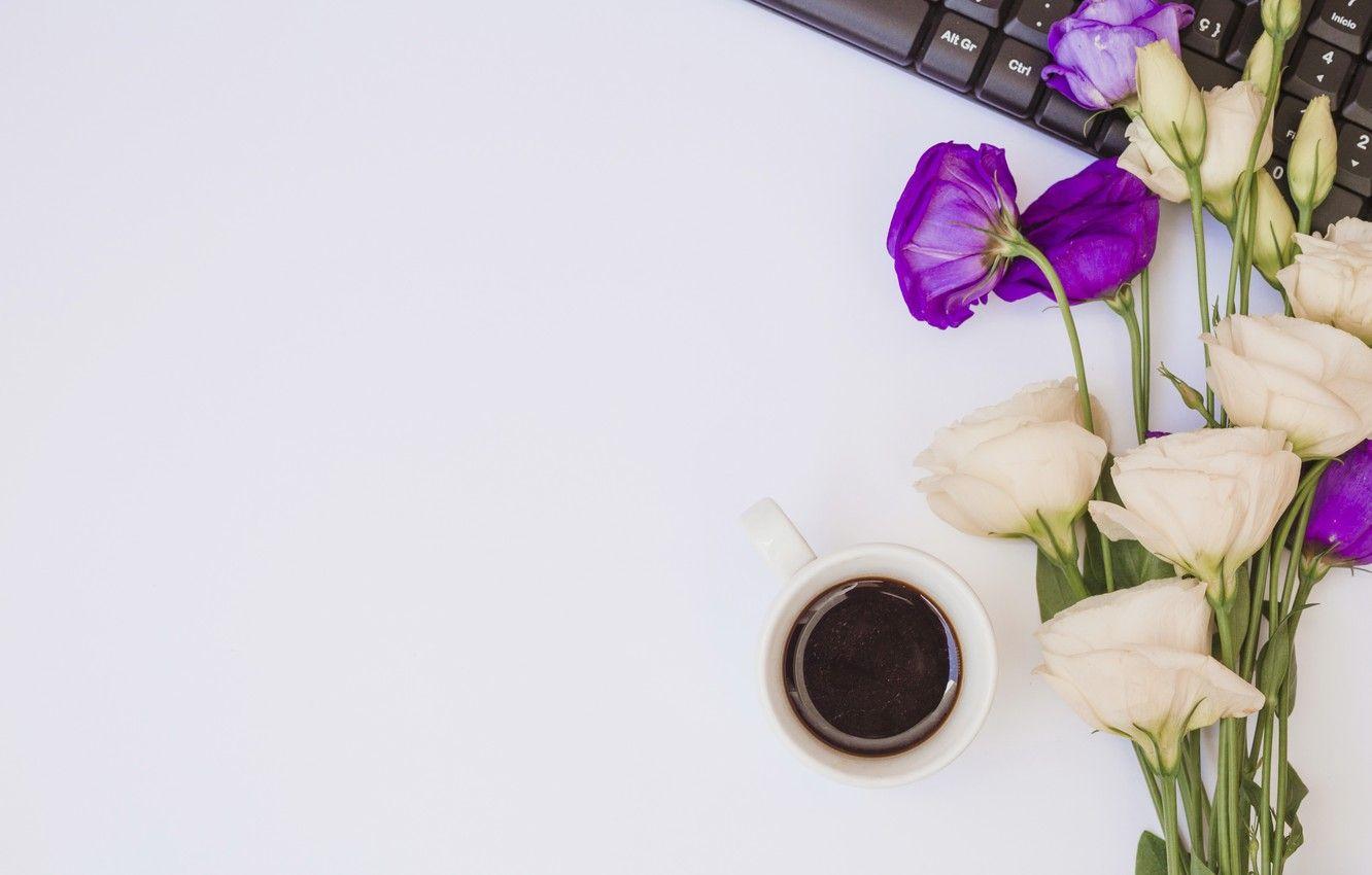1332x850 Wallpaper flowers, laptop, white, flowers, coffee cup, purple, eustoma, laptop, a Cup of coffee, eustoma image for desktop, section цветы
