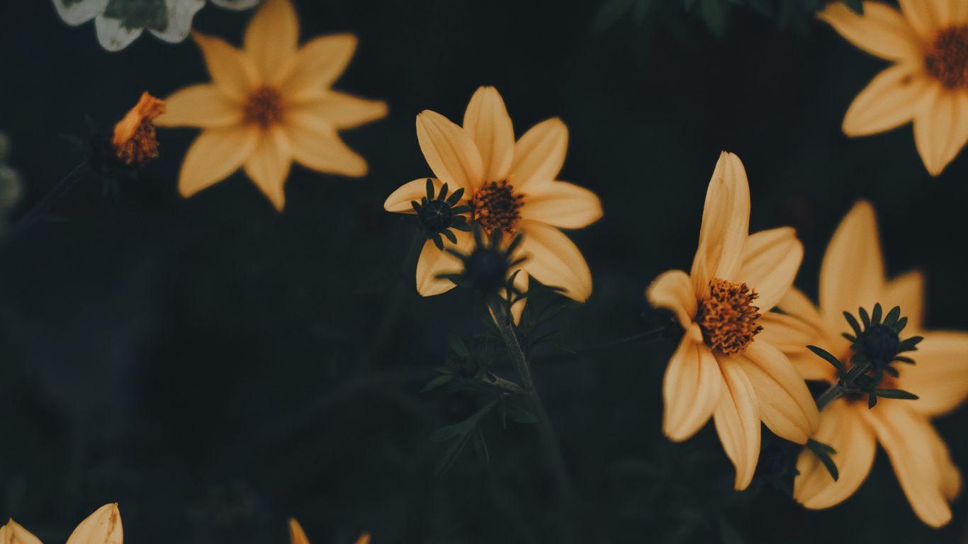 1366x768 