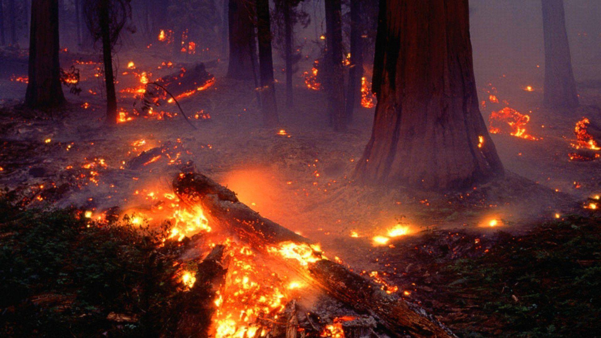 Fire Wallpapers TopHinhAnhDep