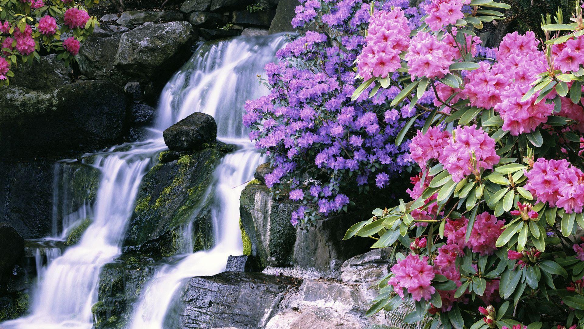 Spring Waterfall Wallpapers - Top Free Spring Waterfall Backgrounds ...