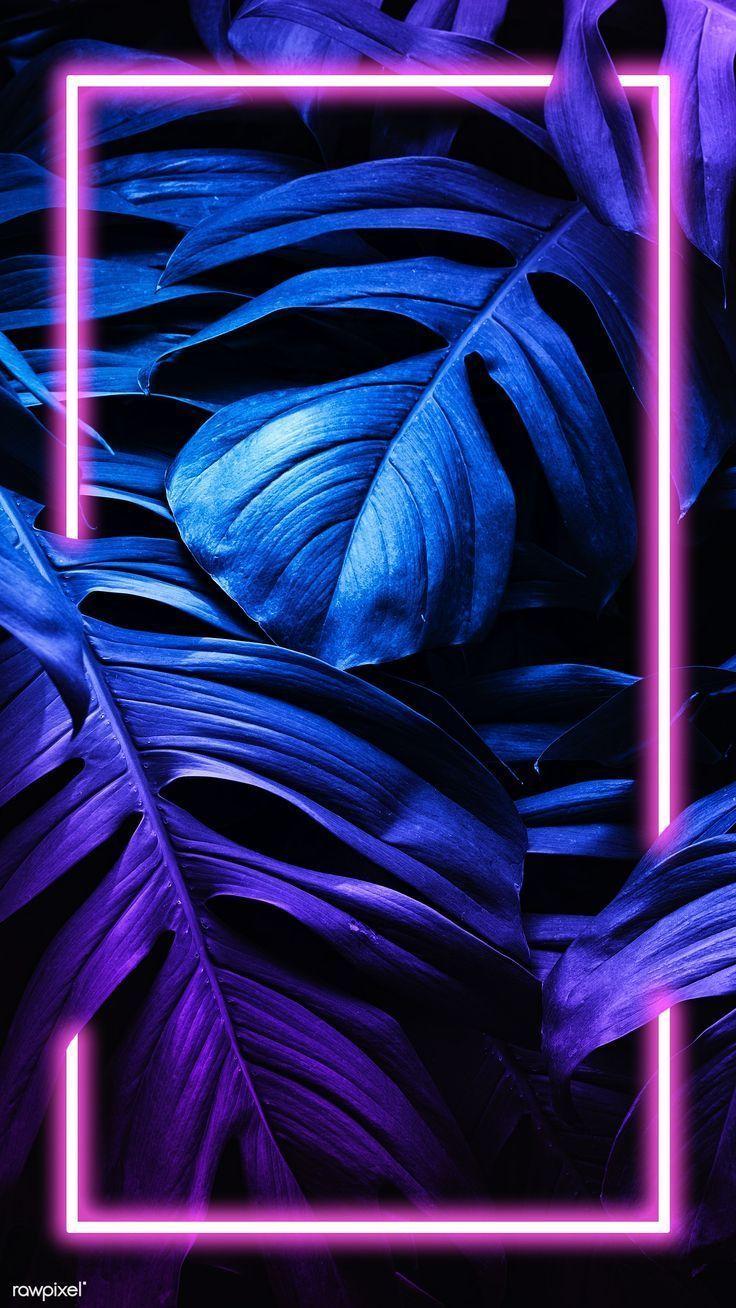 Neon Blue Purple Wallpapers Top Free Neon Blue Purple Backgrounds Wallpaperaccess