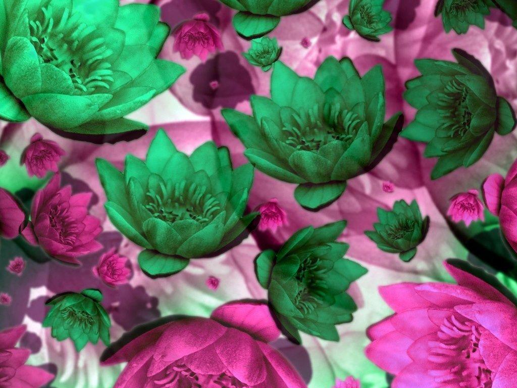 1024x768 pink and green. Pink and green flowers Wallpaper The Free Pink and green. Flower wallpaper, Pink and green, Green flowers