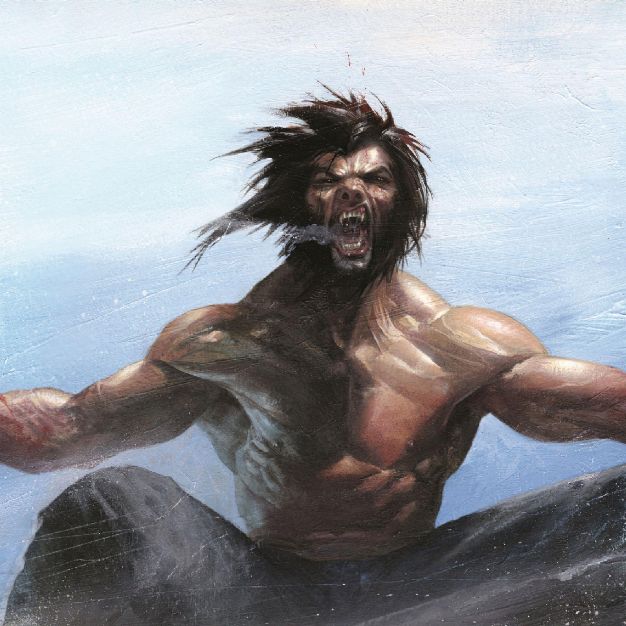 2048x2048 Wolverine Angry Artwork iPad Air HD 4k Wallpaper, Image, Background, Photo and Picture