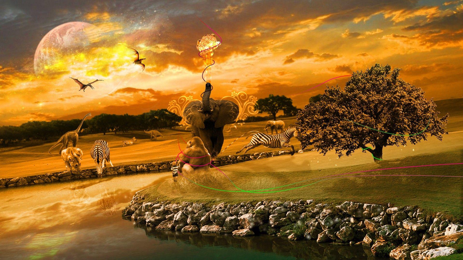 1920x1080 HD Africa Wallpaper For Desktop And Mobile