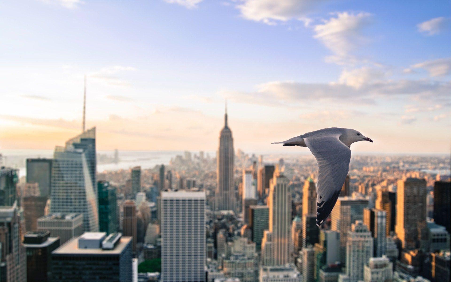 1920x1200 New York City Wallpaper HD Picture