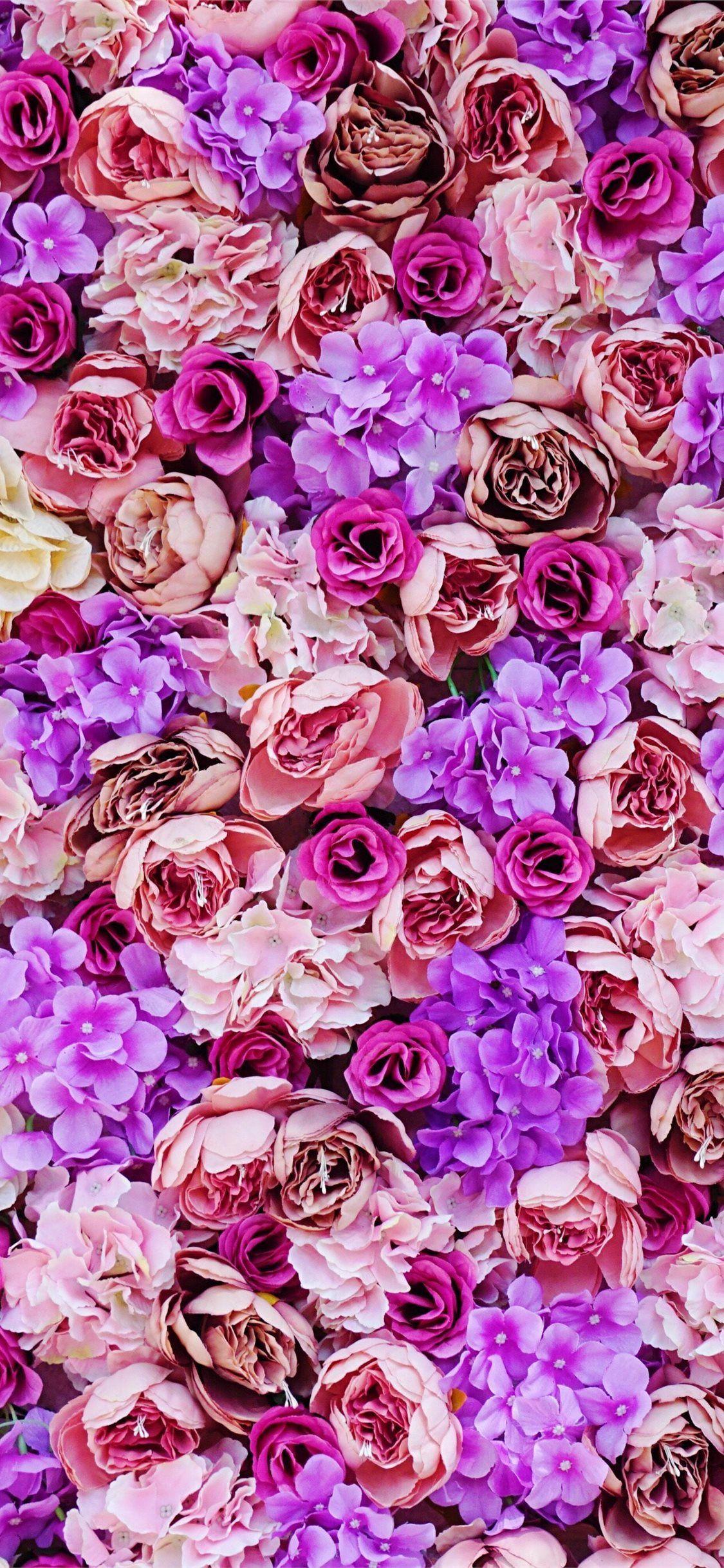 Hoa màu hồng và tím kết hợp tạo nên một bức tranh đầy nghệ thuật và tinh tế. Hãy để mình lạc vào bức tranh đấy và cảm nhận vẻ đẹp tuyệt vời của hoa màu hồng và tím.