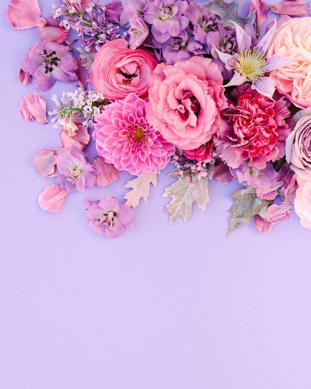 Pink and Purple Flower Wallpapers - Top Free Pink and Purple Flower  Backgrounds - WallpaperAccess