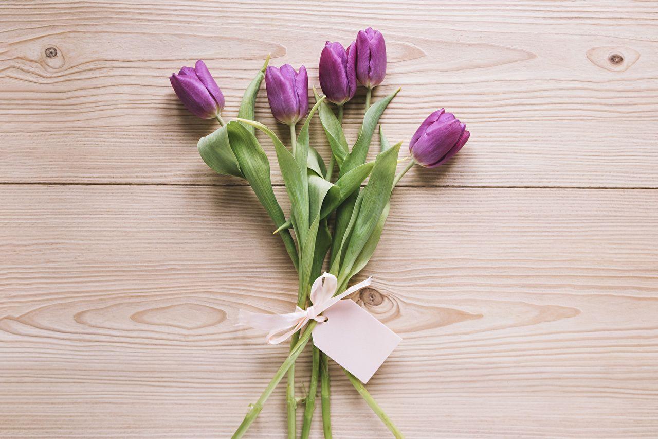 1280x853 Wallpaper tulip Violet Flowers Wood planks