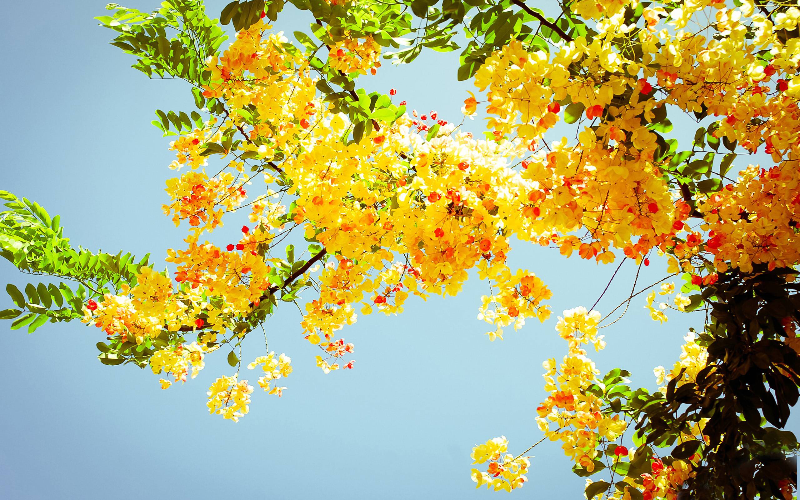 Summertime Desktop Wallpapers Top Free Summertime Desktop Backgrounds Wallpaperaccess Summertime Desktop Wallpapers Top Free Summertime Desktop Backgrounds Wallpaperaccess