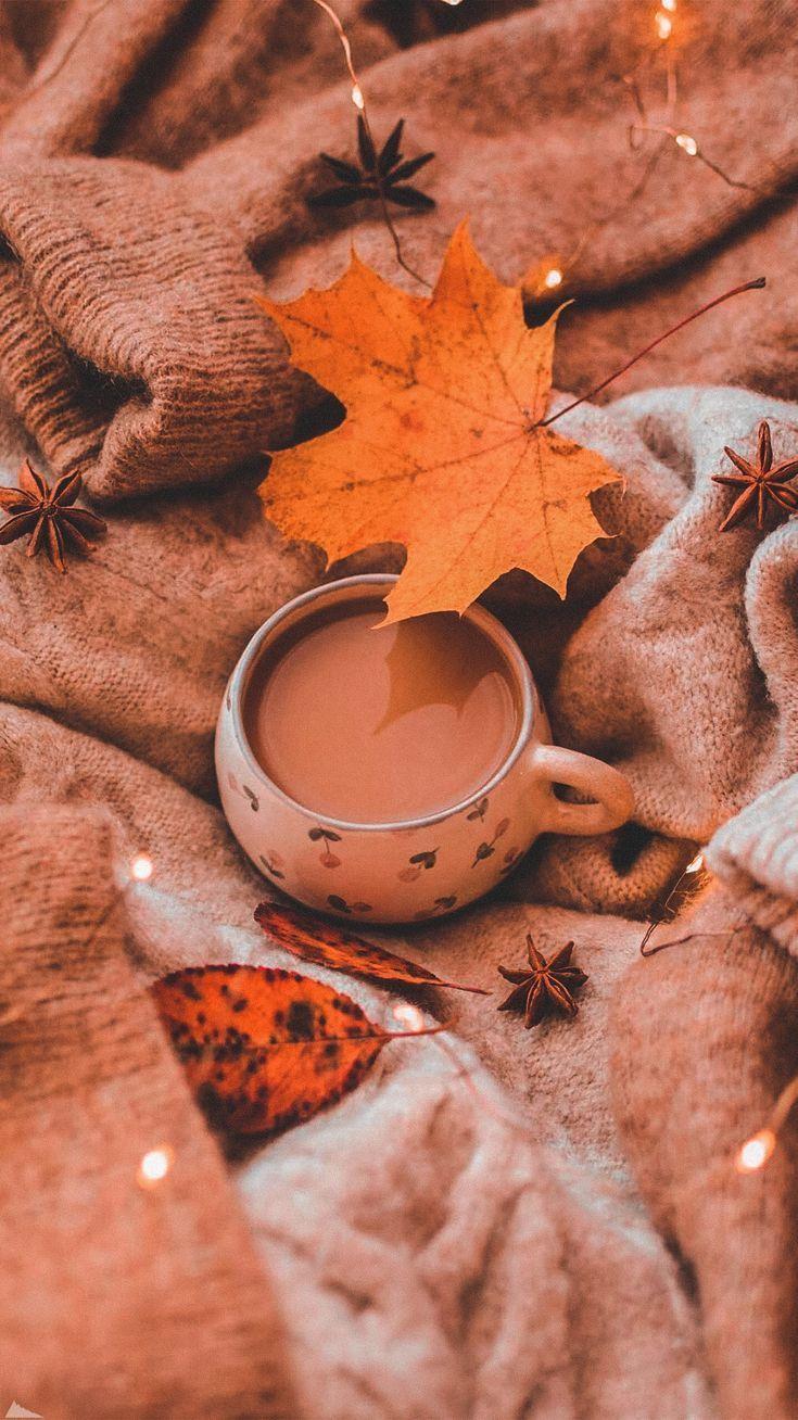 Fall Coffee Wallpapers Top Free Fall Coffee Backgrounds Wallpaperaccess