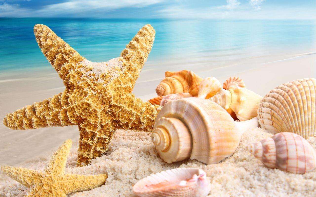 1280x800 Summer Wallpaper