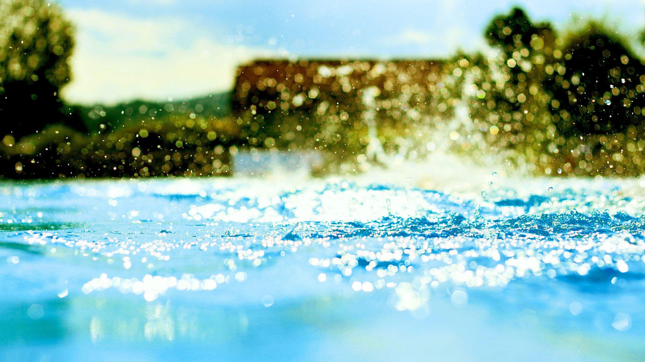 2560x1440 Summer Desktop Wallpaper HD