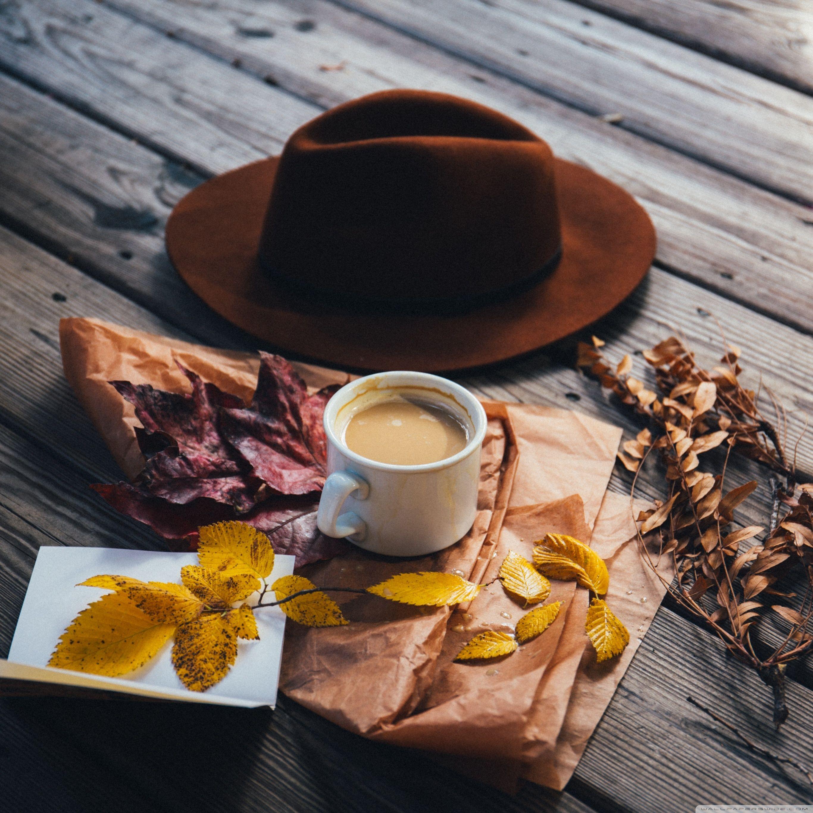 2732x2732 Man Hat, Milk with Coffee, Autumn Leaves, Outdoor Ultra HD Desktop Background Wallpaper for 4K UHD TV : Widescreen & UltraWide Desktop & Laptop : Tablet