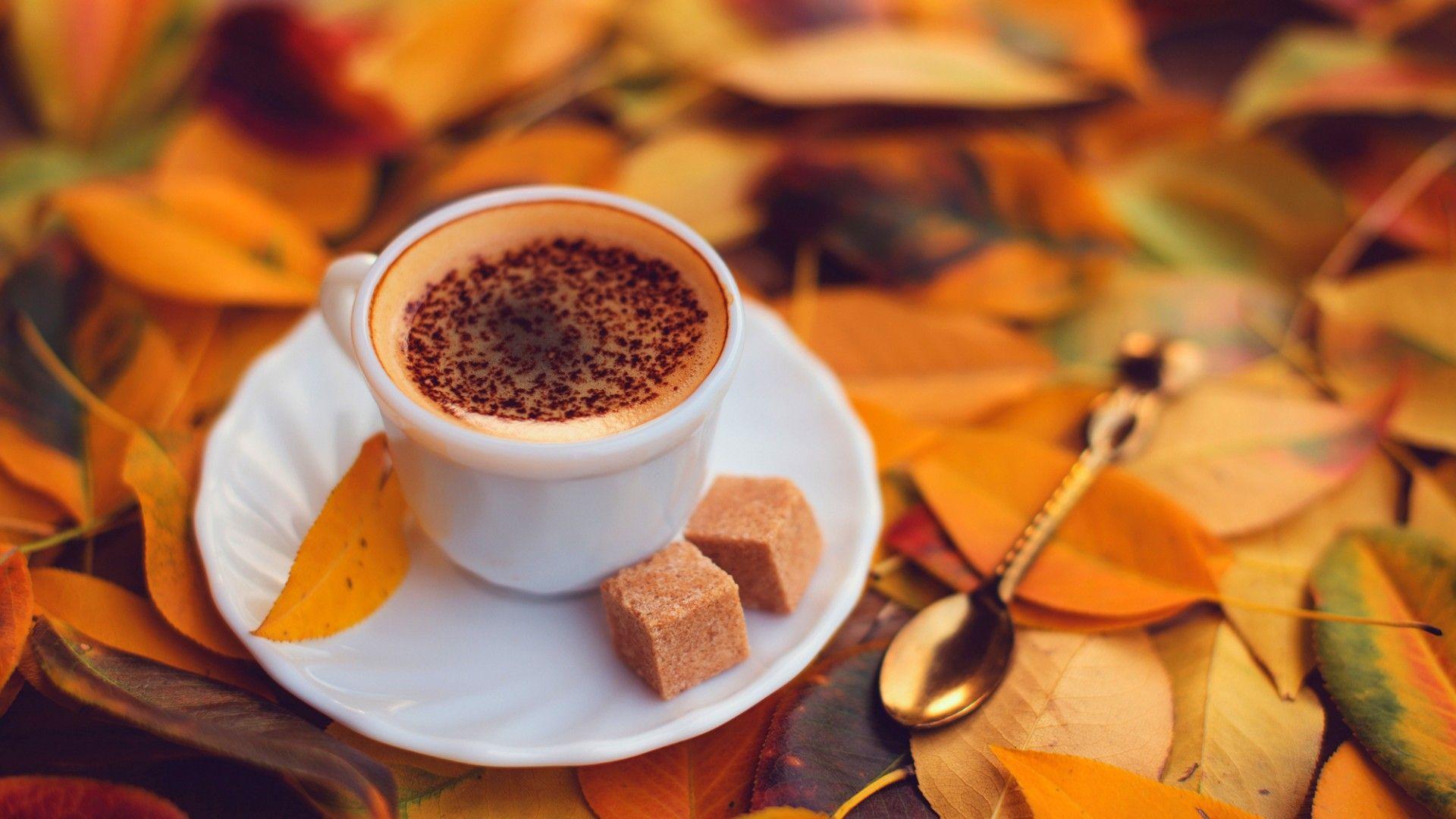 1920x1080 Coffee Wallpaper Image Photo Picture Background