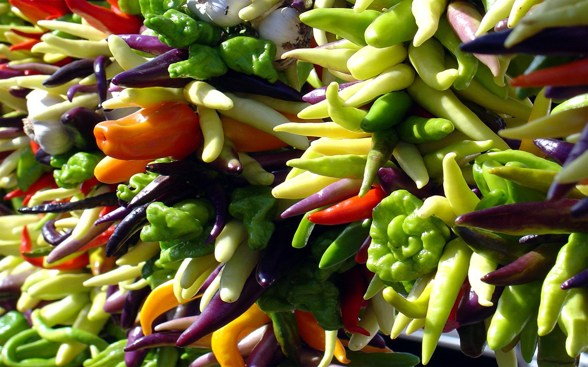 1920x1200 Cute Peppers Wallpaper