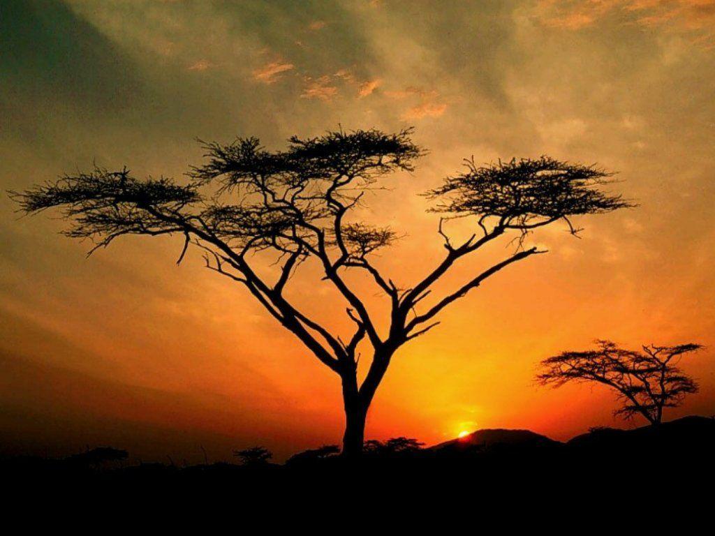 1024x768 Beautiful Tanzania Africa