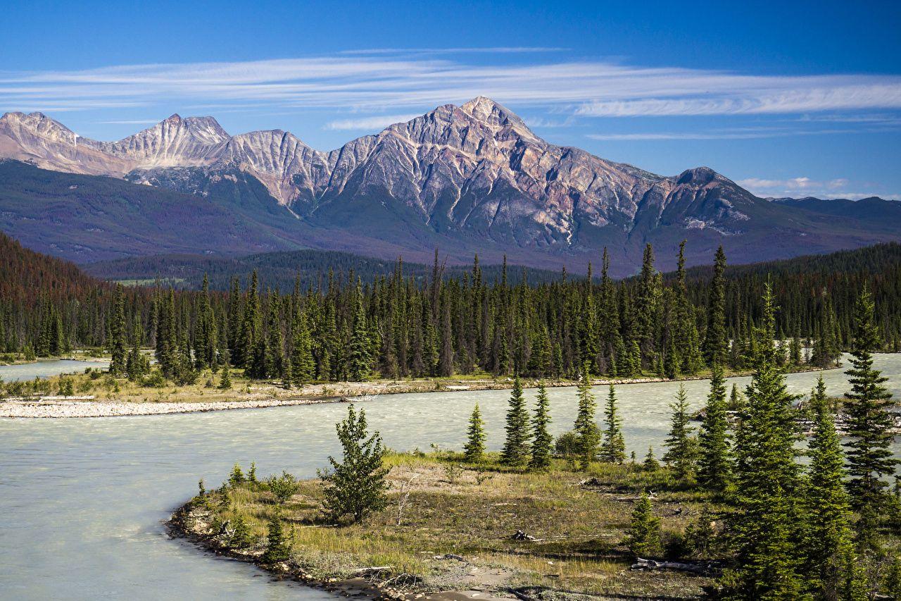 1280x853 Desktop Wallpaper Jasper Park Canada Athabasca River Nature Spruce