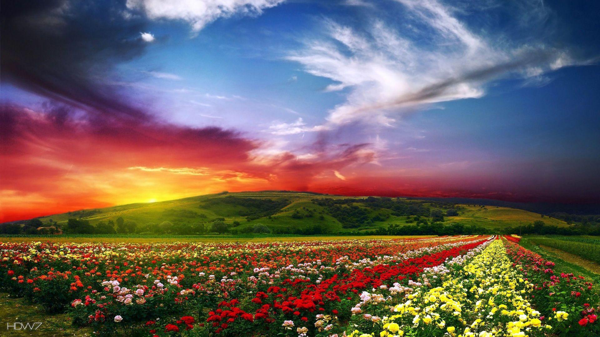 1920x1080 paradise valley 1920x1080. HD wallpaper gallery