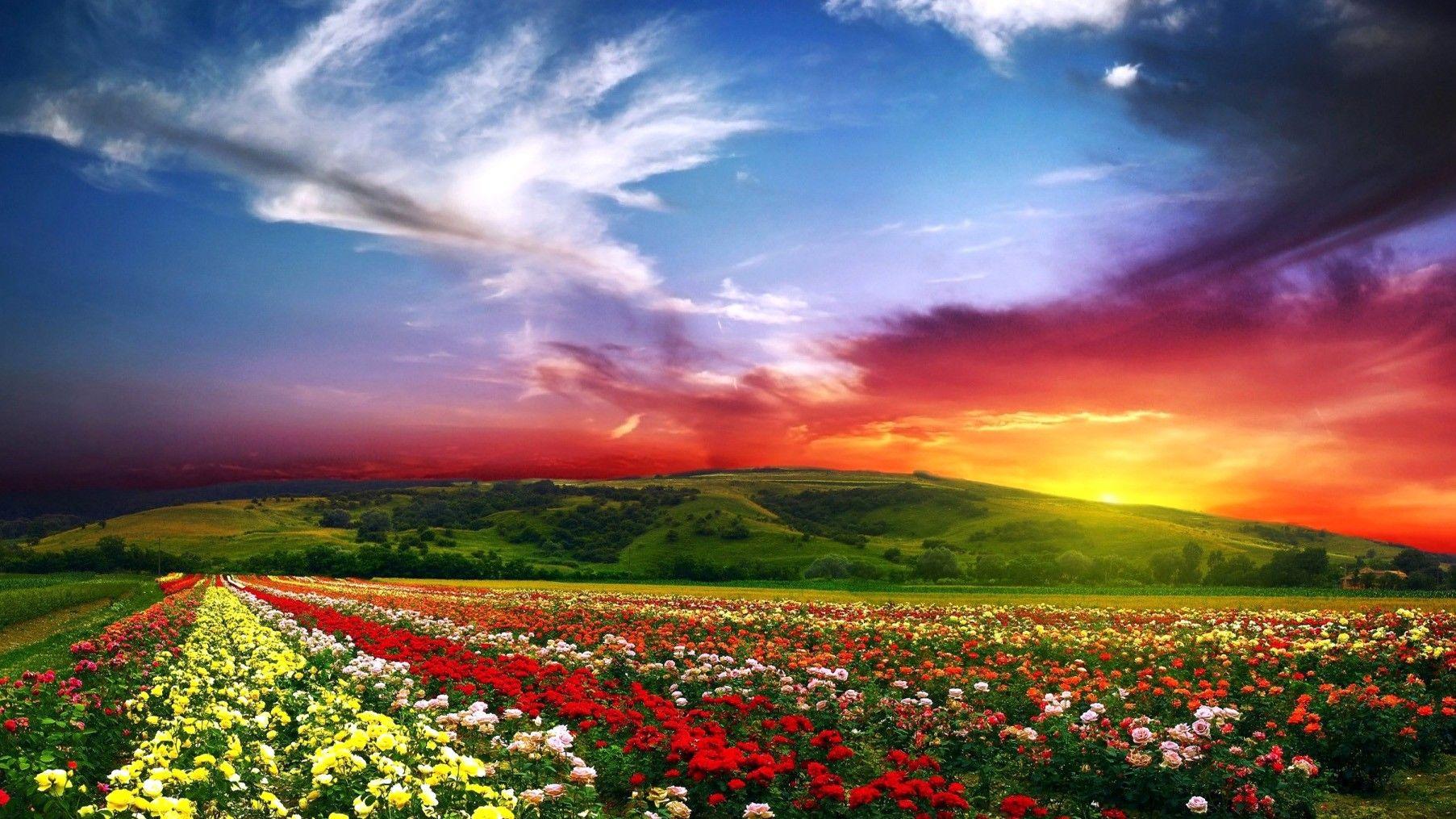 1805x1015 Paradise, Valley, Cool Nature Wallpaper, Amazing Landscape, Organic, Plants, Widescreen Nature Image, Download Nature Wallpaper, Nature W