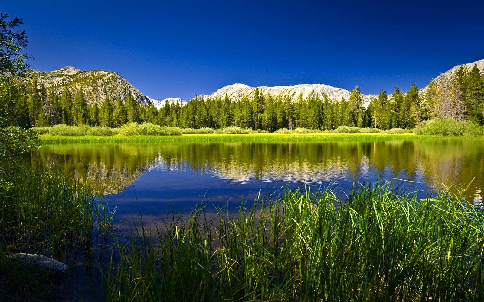 1600x1000 Cool HD Wallpaper Background High Resolution Desktop Wallpaper HD Wallpaper Laptop Nature Image Landscapes Nature Photography 1600x1000