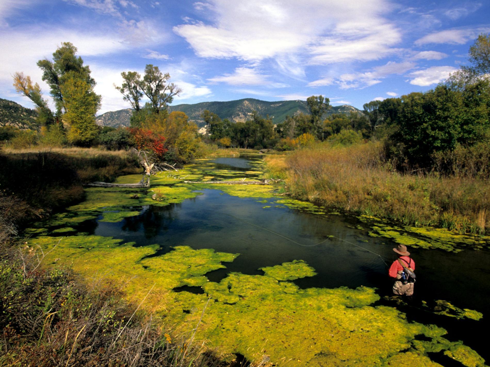 1900x1424 Fly Fish The Paradise Valley Spring Creeks, Best American Adventures National Geographic