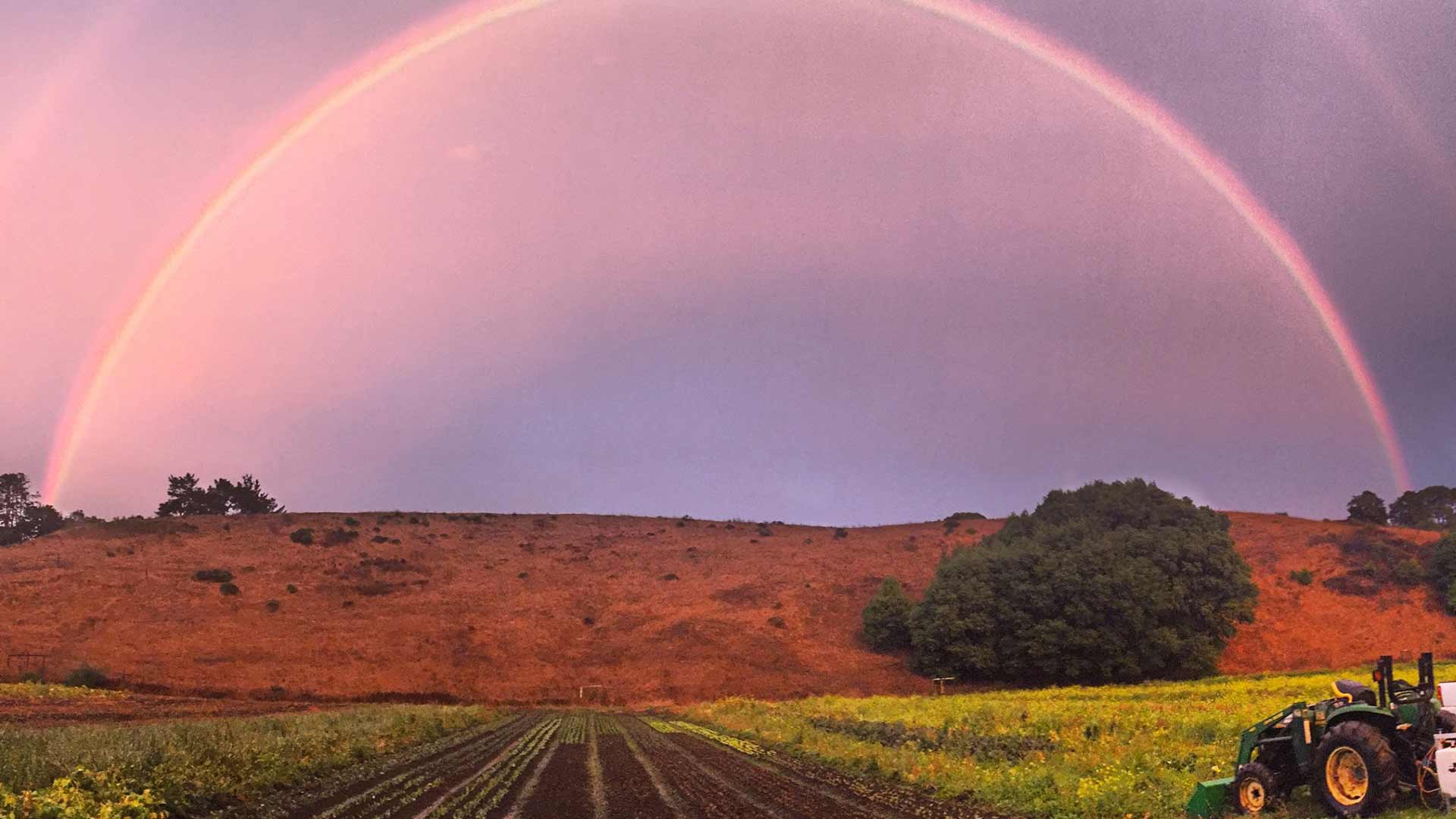 1920x1080 Paradise Valley Produce Earth Natural Foods