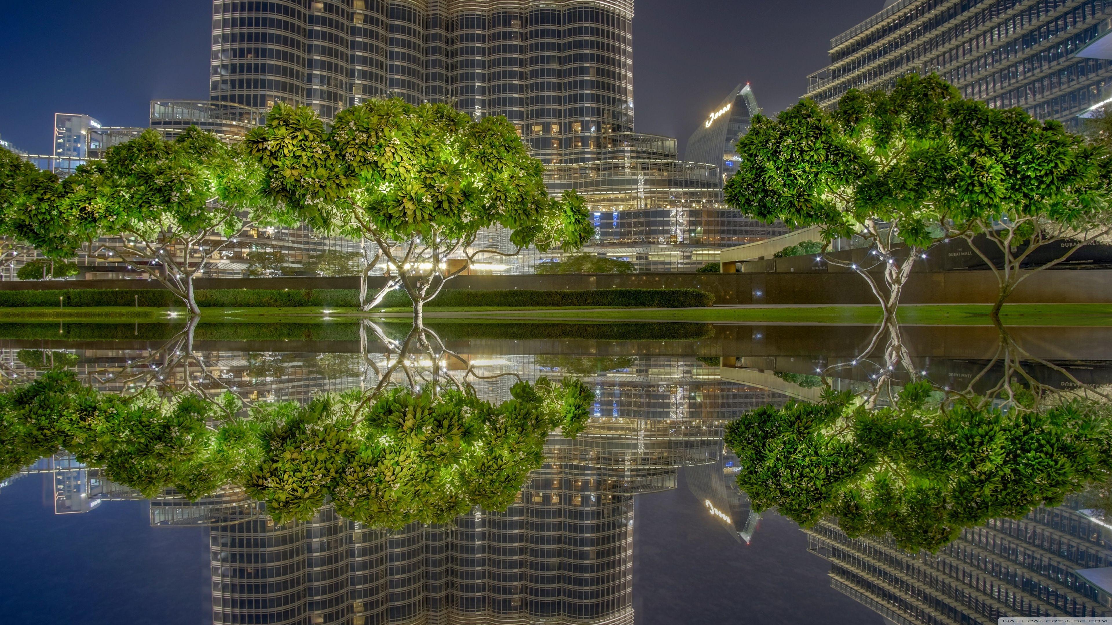 3840x2160 Dubai City Night Ultra HD Desktop Background Wallpaper for 4K UHD TV : Widescreen & UltraWide Desktop & Laptop : Tablet