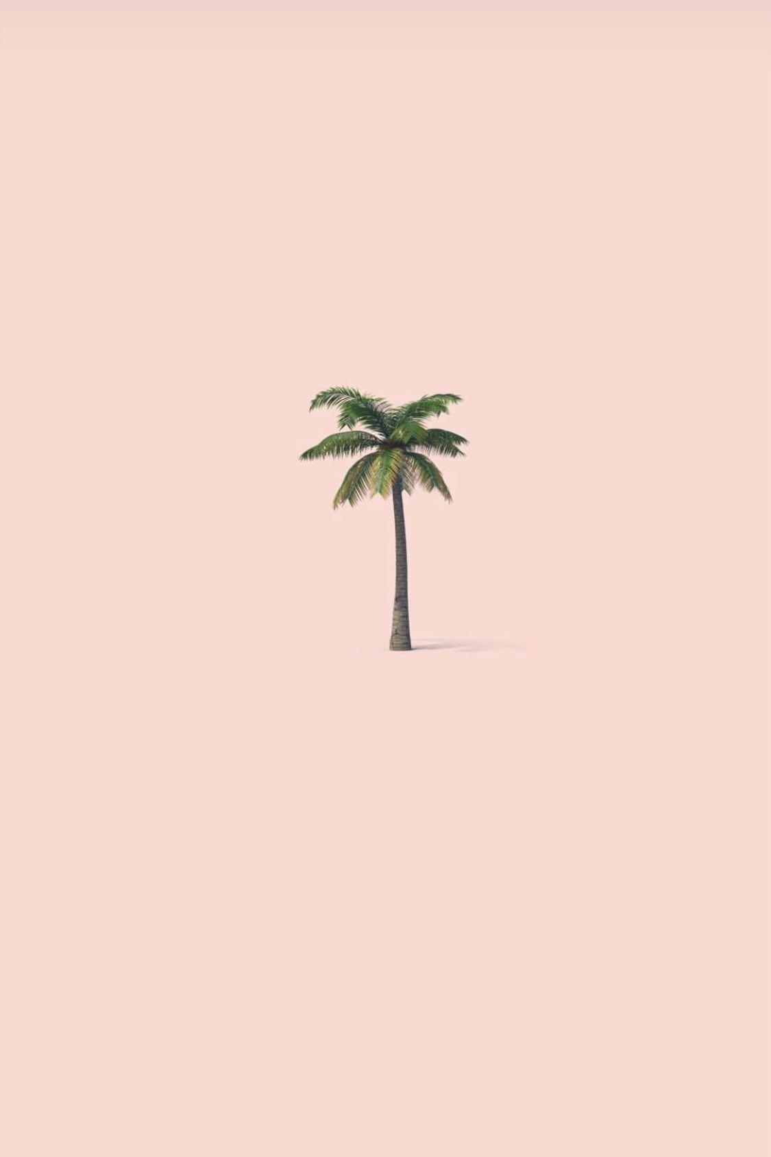 1125x1687 Highlight Instagram stories. Kertas dinding, Seni, Fotografi