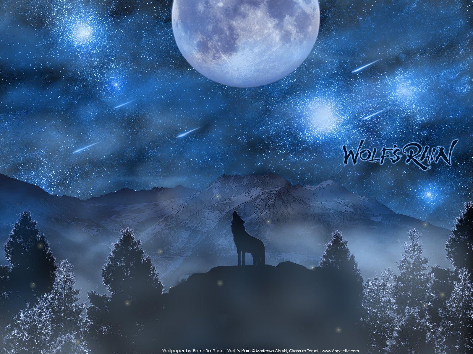 1600x1200 Wolf's Rain and Scan Gallery