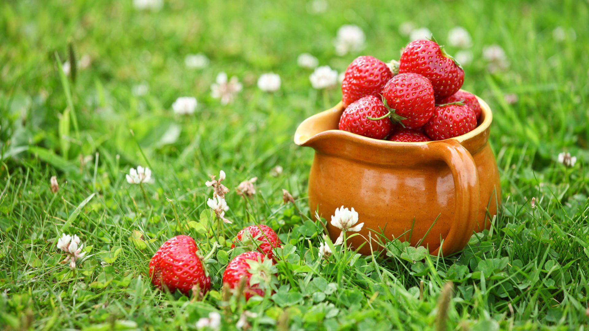1920x1080 Yummy Tag wallpaper: Dessert Cold Delight Yummy Raspberry Mind