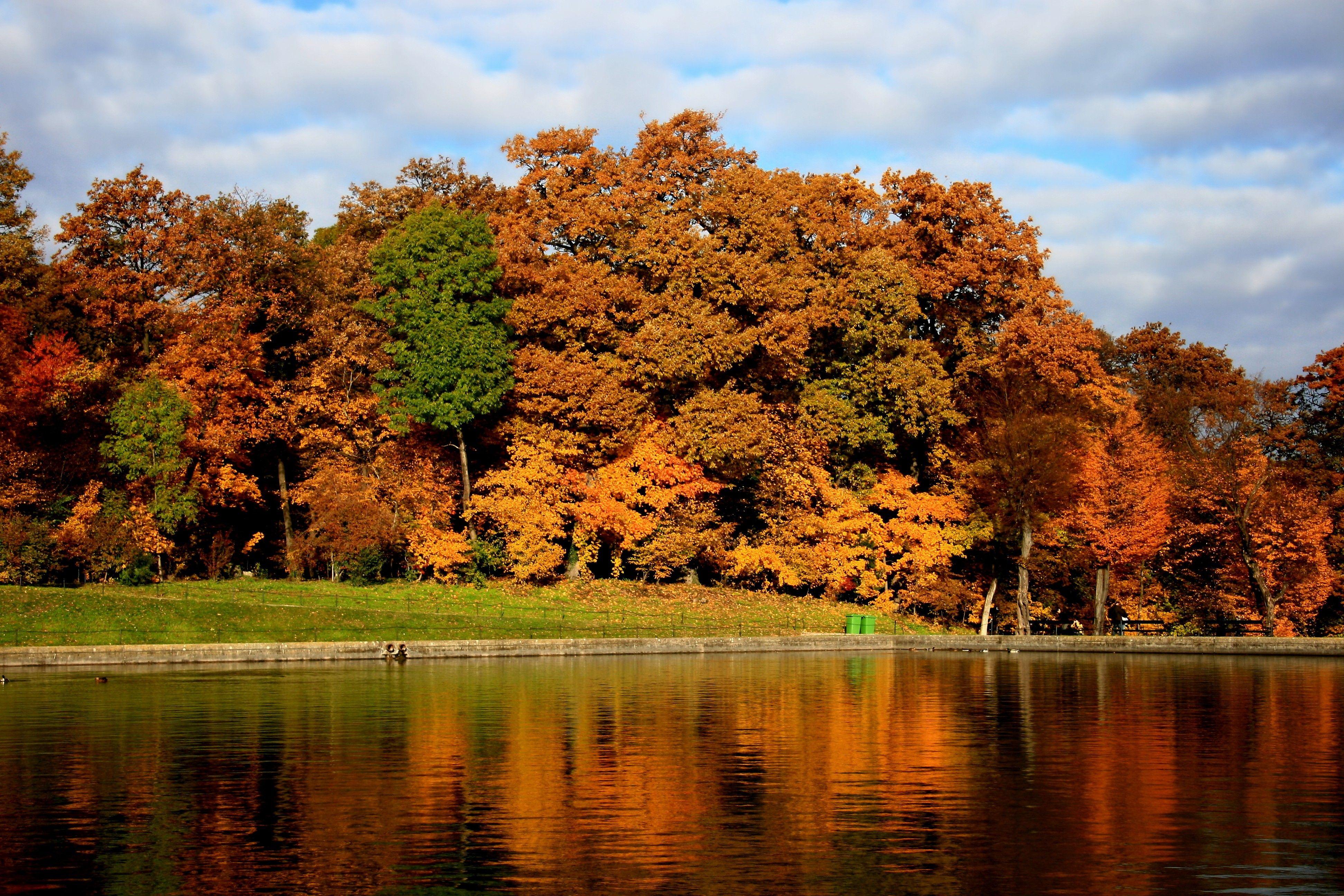 3888x2592 Wien Autumn - Tải xuống Hình nền & Nền HD