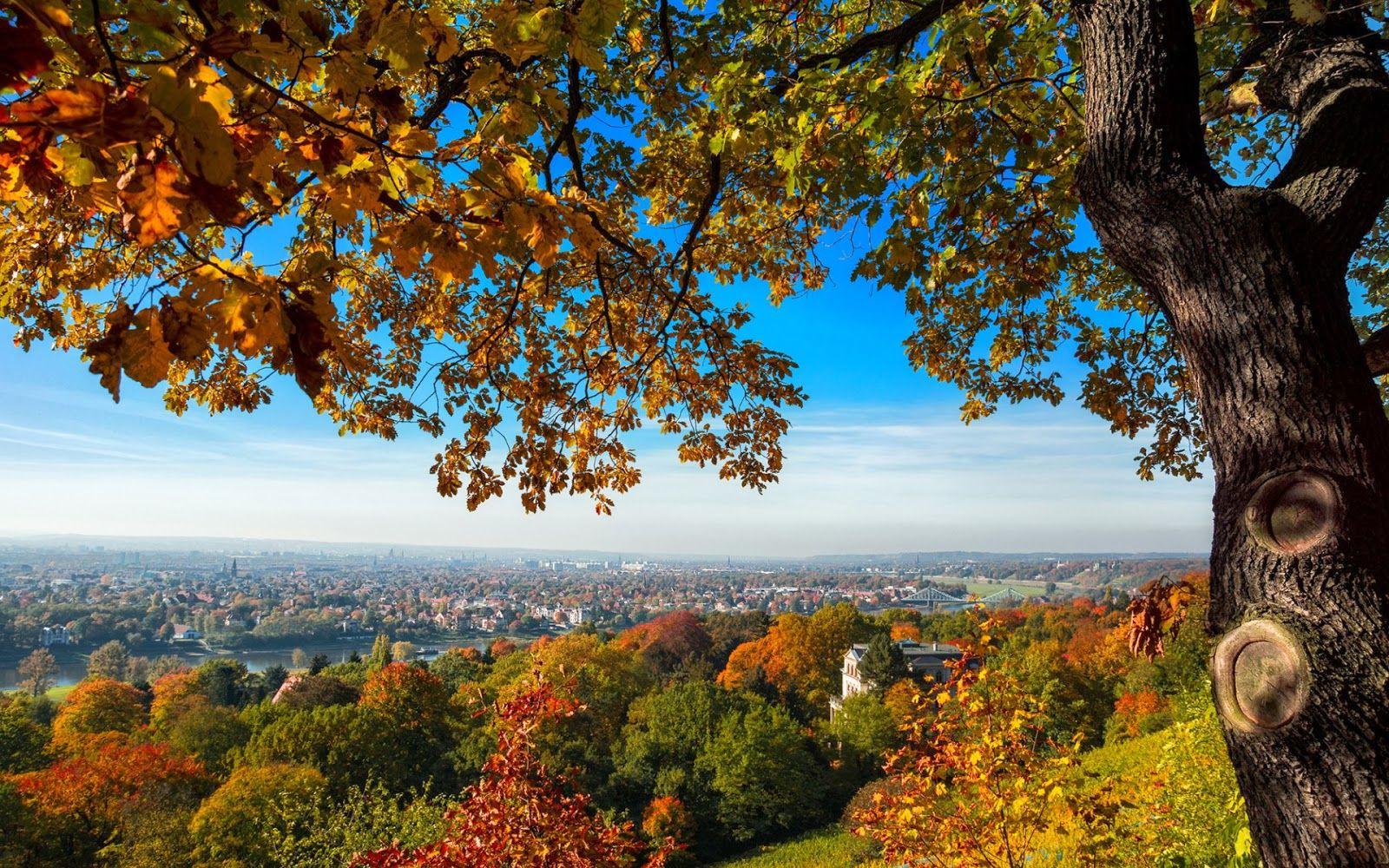1600x1000 Herbst ở Dresden Deutschland