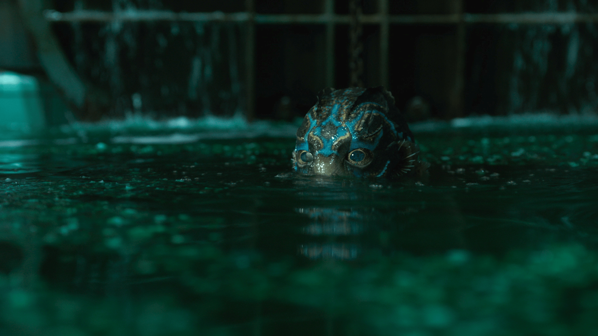 The Shape of Water Wallpapers - Top Free The Shape of Water Backgrounds ...