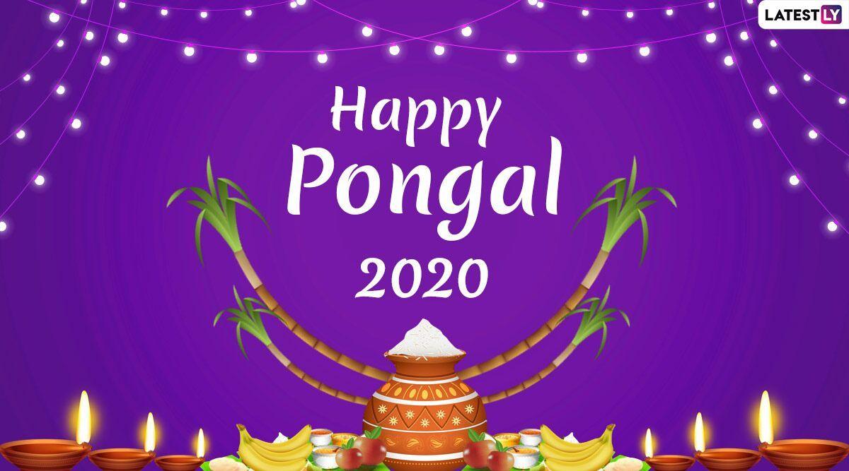 1200x667 Happy Thai Pongal 2020 Image and HD
