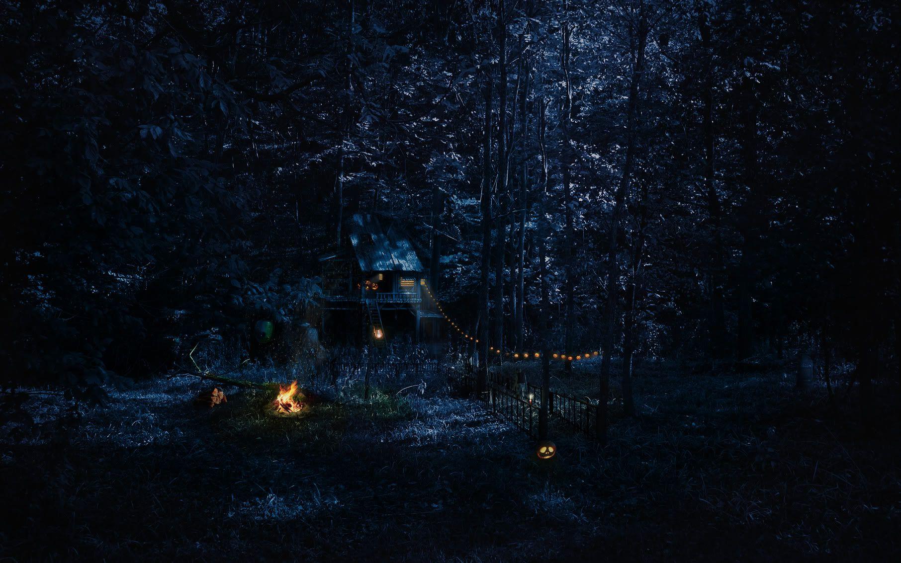 1812x1133 Holidays halloween dark scary creepy pumpkins trees forest fantasy wallpaperx1133